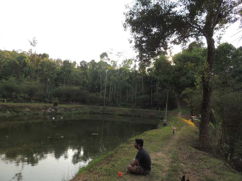 Serenity at Chikmagalur